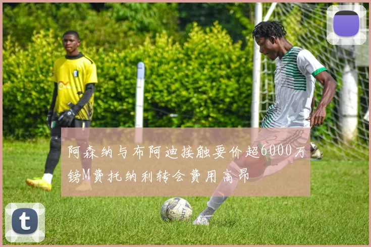 阿森纳与布阿迪接触要价超6000万镑M费托纳利转会费用高昂