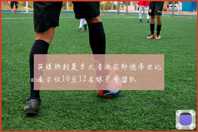 英媒热刺夏季大清洗在即德泽尔比表示仅10至12名球员可留队