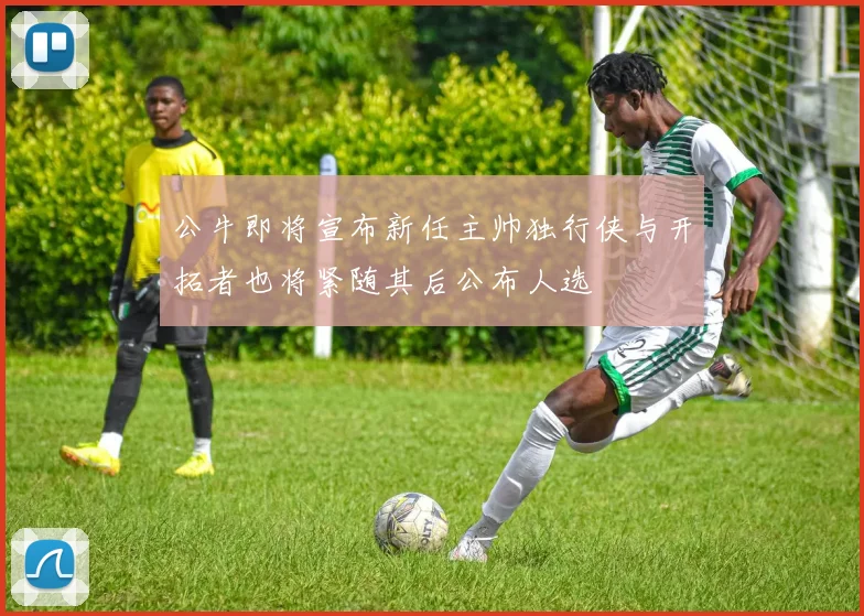 公牛即将宣布新任主帅独行侠与开拓者也将紧随其后公布人选